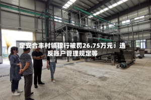定安合丰村镇银行被罚26.75万元：违反账户管理规定等