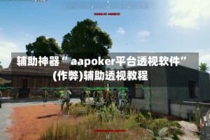 辅助神器“ aapoker平台透视软件”(作弊)辅助透视教程