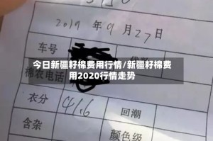 今日新疆籽棉费用行情/新疆籽棉费用2020行情走势