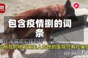 包含疫情捌的词条