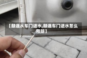 【朗逸从车门进水,朗逸车门进水怎么预防】