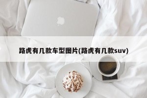 路虎有几款车型图片(路虎有几款suv)