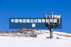中国电信推出试商用词元套餐