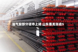 油气股部分逆市上扬 山东墨龙涨逾5%