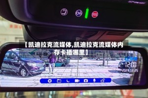 【凯迪拉克流媒体,凯迪拉克流媒体内存卡插哪里】