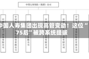 中国人寿集团出现高管变动！这位“75后”被跨系统提拔