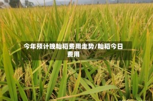 今年预计晚籼稻费用走势/籼稻今日费用