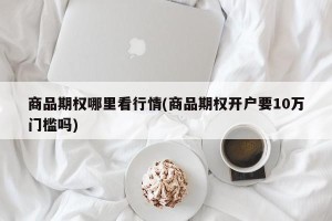 商品期权哪里看行情(商品期权开户要10万门槛吗)