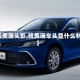 【凯美瑞头影,凯美瑞车头是什么材质】