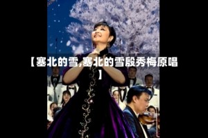 【塞北的雪,塞北的雪殷秀梅原唱】