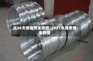 近30天镁费用走势图/2021年镁费用走势图