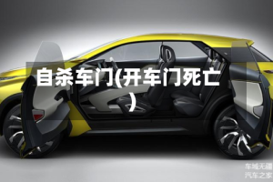 自杀车门(开车门死亡)
