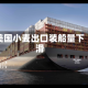 美国小麦出口装船量下滑