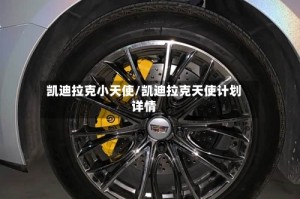 凯迪拉克小天使/凯迪拉克天使计划详情