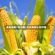 玉米淀粉7日行情/玉米淀粉七日行情
