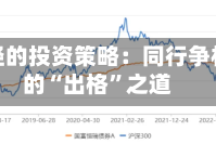 另辟蹊径的投资策略：同行争相取经的“出格”之道