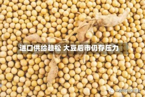 进口供给趋松 大豆后市仍存压力