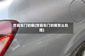 世嘉车门划痕(世嘉车门划痕怎么处理)
