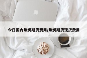 今日国内焦炭期货费用/焦炭期货现货费用