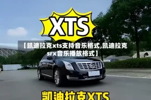 【凯迪拉克xts支持音乐格式,凯迪拉克srx音乐播放格式】