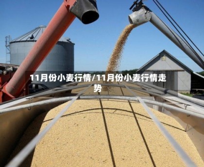 11月份小麦行情/11月份小麦行情走势