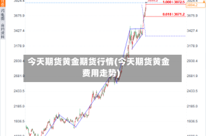 今天期货黄金期货行情(今天期货黄金费用走势)