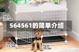 564561的简单介绍