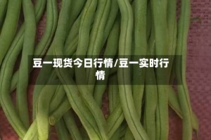 豆一现货今日行情/豆一实时行情