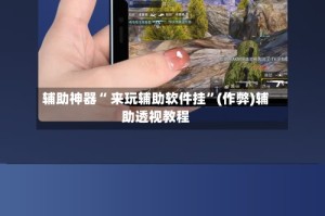 辅助神器“ 来玩辅助软件挂”(作弊)辅助透视教程