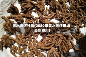 黄水黄连行情(2020年黄水黄连市场最新费用)