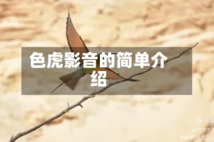 色虎影音的简单介绍