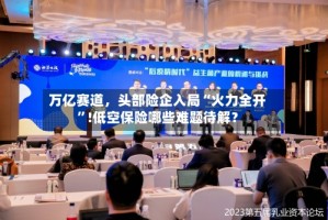 万亿赛道，头部险企入局“火力全开”!低空保险哪些难题待解？