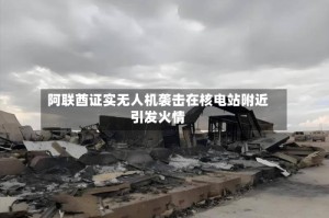 阿联酋证实无人机袭击在核电站附近引发火情