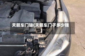天籁车门轴(天籁车门子多少钱)