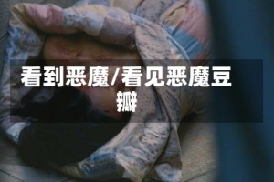 看到恶魔/看见恶魔豆瓣
