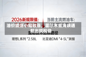 油价震荡小幅收涨，霍尔木兹海峡通航出现松动