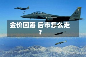 金价回落 后市怎么走？