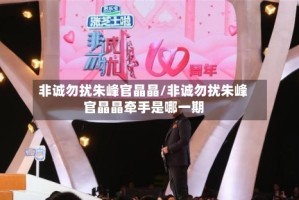 非诚勿扰朱峰官晶晶/非诚勿扰朱峰官晶晶牵手是哪一期