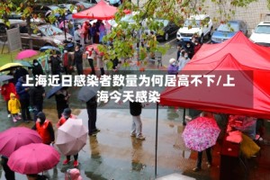 上海近日感染者数量为何居高不下/上海今天感染