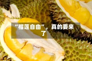 “榴莲自由”，真的要来了