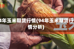 94年玉米期货行情(94年玉米期货行情分析)