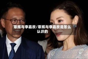 覃辉与李嘉欣/覃辉与李嘉欣是怎么认识的