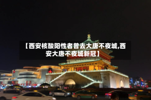 【西安核酸阳性者曾去大唐不夜城,西安大唐不夜城新冠】