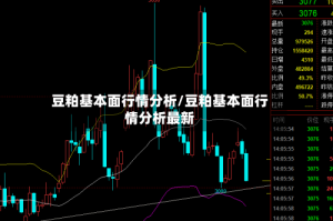 豆粕基本面行情分析/豆粕基本面行情分析最新