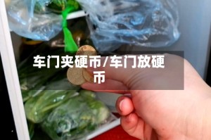 车门夹硬币/车门放硬币