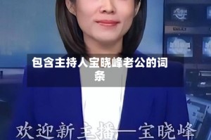 包含主持人宝晓峰老公的词条