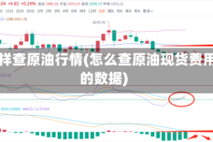 怎样查原油行情(怎么查原油现货费用的数据)