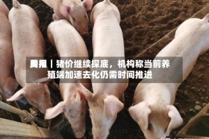 费用周报｜猪价继续探底，机构称当前养殖端加速去化仍需时间推进