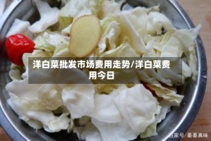 洋白菜批发市场费用走势/洋白菜费用今日