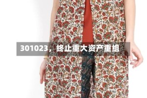 301023，终止重大资产重组